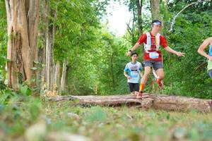 BIB: 
                            <button type="button" onclick="openModal(21984117)" class="btn btn-primary btn-sm float-right btn-popup" data-toggle="modal" data-target=".modal-high-quality">
                        <i class="fas fa-shopping-cart"></i> Add to Cart
                    </button>
                                            <button type="button" onclick="isThisMe(21984117, true)" class="btn btn-success btn-sm float-right btn-popup btn-isme hidden" data-toggle="tooltip" data-placement="bottom" title="นี่คือรูปของคุณใช่ไหม คลิกที่นี่เพื่อเอาเข้าอัลบั้ม">
                        <i class="fas fa-plus"></i> Add to album
                    </button>
                    <button type="button" onclick="isThisMe(21984117, false)" class="btn btn-warning btn-sm float-right btn-popup btn-isnotme hidden">
                        <i class="fas fa-ban"></i> Remove from album
                    </button>