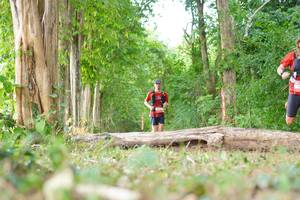 BIB: 
                            <button type="button" onclick="openModal(21989633)" class="btn btn-primary btn-sm float-right btn-popup" data-toggle="modal" data-target=".modal-high-quality">
                        <i class="fas fa-shopping-cart"></i> Add to Cart
                    </button>
                                            <button type="button" onclick="isThisMe(21989633, true)" class="btn btn-success btn-sm float-right btn-popup btn-isme hidden" data-toggle="tooltip" data-placement="bottom" title="นี่คือรูปของคุณใช่ไหม คลิกที่นี่เพื่อเอาเข้าอัลบั้ม">
                        <i class="fas fa-plus"></i> Add to album
                    </button>
                    <button type="button" onclick="isThisMe(21989633, false)" class="btn btn-warning btn-sm float-right btn-popup btn-isnotme hidden">
                        <i class="fas fa-ban"></i> Remove from album
                    </button>