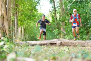 BIB: 
                            <button type="button" onclick="openModal(21984473)" class="btn btn-primary btn-sm float-right btn-popup" data-toggle="modal" data-target=".modal-high-quality">
                        <i class="fas fa-shopping-cart"></i> Add to Cart
                    </button>
                                            <button type="button" onclick="isThisMe(21984473, true)" class="btn btn-success btn-sm float-right btn-popup btn-isme hidden" data-toggle="tooltip" data-placement="bottom" title="นี่คือรูปของคุณใช่ไหม คลิกที่นี่เพื่อเอาเข้าอัลบั้ม">
                        <i class="fas fa-plus"></i> Add to album
                    </button>
                    <button type="button" onclick="isThisMe(21984473, false)" class="btn btn-warning btn-sm float-right btn-popup btn-isnotme hidden">
                        <i class="fas fa-ban"></i> Remove from album
                    </button>