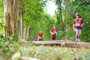 BIB: 
                            <button type="button" onclick="openModal(21989377)" class="btn btn-primary btn-sm float-right btn-popup" data-toggle="modal" data-target=".modal-high-quality">
                        <i class="fas fa-shopping-cart"></i> Add to Cart
                    </button>
                                            <button type="button" onclick="isThisMe(21989377, true)" class="btn btn-success btn-sm float-right btn-popup btn-isme hidden" data-toggle="tooltip" data-placement="bottom" title="นี่คือรูปของคุณใช่ไหม คลิกที่นี่เพื่อเอาเข้าอัลบั้ม">
                        <i class="fas fa-plus"></i> Add to album
                    </button>
                    <button type="button" onclick="isThisMe(21989377, false)" class="btn btn-warning btn-sm float-right btn-popup btn-isnotme hidden">
                        <i class="fas fa-ban"></i> Remove from album
                    </button>