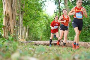 BIB: 
                            <button type="button" onclick="openModal(21988559)" class="btn btn-primary btn-sm float-right btn-popup" data-toggle="modal" data-target=".modal-high-quality">
                        <i class="fas fa-shopping-cart"></i> Add to Cart
                    </button>
                                            <button type="button" onclick="isThisMe(21988559, true)" class="btn btn-success btn-sm float-right btn-popup btn-isme hidden" data-toggle="tooltip" data-placement="bottom" title="นี่คือรูปของคุณใช่ไหม คลิกที่นี่เพื่อเอาเข้าอัลบั้ม">
                        <i class="fas fa-plus"></i> Add to album
                    </button>
                    <button type="button" onclick="isThisMe(21988559, false)" class="btn btn-warning btn-sm float-right btn-popup btn-isnotme hidden">
                        <i class="fas fa-ban"></i> Remove from album
                    </button>