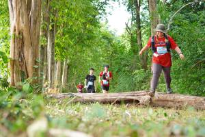 BIB: 
                            <button type="button" onclick="openModal(21989214)" class="btn btn-primary btn-sm float-right btn-popup" data-toggle="modal" data-target=".modal-high-quality">
                        <i class="fas fa-shopping-cart"></i> Add to Cart
                    </button>
                                            <button type="button" onclick="isThisMe(21989214, true)" class="btn btn-success btn-sm float-right btn-popup btn-isme hidden" data-toggle="tooltip" data-placement="bottom" title="นี่คือรูปของคุณใช่ไหม คลิกที่นี่เพื่อเอาเข้าอัลบั้ม">
                        <i class="fas fa-plus"></i> Add to album
                    </button>
                    <button type="button" onclick="isThisMe(21989214, false)" class="btn btn-warning btn-sm float-right btn-popup btn-isnotme hidden">
                        <i class="fas fa-ban"></i> Remove from album
                    </button>