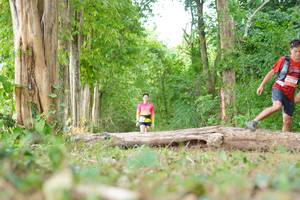 BIB: 
                            <button type="button" onclick="openModal(21989617)" class="btn btn-primary btn-sm float-right btn-popup" data-toggle="modal" data-target=".modal-high-quality">
                        <i class="fas fa-shopping-cart"></i> Add to Cart
                    </button>
                                            <button type="button" onclick="isThisMe(21989617, true)" class="btn btn-success btn-sm float-right btn-popup btn-isme hidden" data-toggle="tooltip" data-placement="bottom" title="นี่คือรูปของคุณใช่ไหม คลิกที่นี่เพื่อเอาเข้าอัลบั้ม">
                        <i class="fas fa-plus"></i> Add to album
                    </button>
                    <button type="button" onclick="isThisMe(21989617, false)" class="btn btn-warning btn-sm float-right btn-popup btn-isnotme hidden">
                        <i class="fas fa-ban"></i> Remove from album
                    </button>