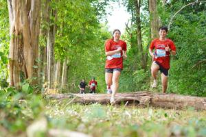 BIB: 
                            <button type="button" onclick="openModal(21989403)" class="btn btn-primary btn-sm float-right btn-popup" data-toggle="modal" data-target=".modal-high-quality">
                        <i class="fas fa-shopping-cart"></i> Add to Cart
                    </button>
                                            <button type="button" onclick="isThisMe(21989403, true)" class="btn btn-success btn-sm float-right btn-popup btn-isme hidden" data-toggle="tooltip" data-placement="bottom" title="นี่คือรูปของคุณใช่ไหม คลิกที่นี่เพื่อเอาเข้าอัลบั้ม">
                        <i class="fas fa-plus"></i> Add to album
                    </button>
                    <button type="button" onclick="isThisMe(21989403, false)" class="btn btn-warning btn-sm float-right btn-popup btn-isnotme hidden">
                        <i class="fas fa-ban"></i> Remove from album
                    </button>