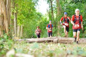 BIB: 
                            <button type="button" onclick="openModal(21989666)" class="btn btn-primary btn-sm float-right btn-popup" data-toggle="modal" data-target=".modal-high-quality">
                        <i class="fas fa-shopping-cart"></i> Add to Cart
                    </button>
                                            <button type="button" onclick="isThisMe(21989666, true)" class="btn btn-success btn-sm float-right btn-popup btn-isme hidden" data-toggle="tooltip" data-placement="bottom" title="นี่คือรูปของคุณใช่ไหม คลิกที่นี่เพื่อเอาเข้าอัลบั้ม">
                        <i class="fas fa-plus"></i> Add to album
                    </button>
                    <button type="button" onclick="isThisMe(21989666, false)" class="btn btn-warning btn-sm float-right btn-popup btn-isnotme hidden">
                        <i class="fas fa-ban"></i> Remove from album
                    </button>