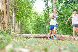 BIB: 
                            <button type="button" onclick="openModal(21984033)" class="btn btn-primary btn-sm float-right btn-popup" data-toggle="modal" data-target=".modal-high-quality">
                        <i class="fas fa-shopping-cart"></i> Add to Cart
                    </button>
                                            <button type="button" onclick="isThisMe(21984033, true)" class="btn btn-success btn-sm float-right btn-popup btn-isme hidden" data-toggle="tooltip" data-placement="bottom" title="นี่คือรูปของคุณใช่ไหม คลิกที่นี่เพื่อเอาเข้าอัลบั้ม">
                        <i class="fas fa-plus"></i> Add to album
                    </button>
                    <button type="button" onclick="isThisMe(21984033, false)" class="btn btn-warning btn-sm float-right btn-popup btn-isnotme hidden">
                        <i class="fas fa-ban"></i> Remove from album
                    </button>