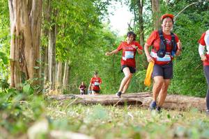 BIB: 
                            <button type="button" onclick="openModal(21989233)" class="btn btn-primary btn-sm float-right btn-popup" data-toggle="modal" data-target=".modal-high-quality">
                        <i class="fas fa-shopping-cart"></i> Add to Cart
                    </button>
                                            <button type="button" onclick="isThisMe(21989233, true)" class="btn btn-success btn-sm float-right btn-popup btn-isme hidden" data-toggle="tooltip" data-placement="bottom" title="นี่คือรูปของคุณใช่ไหม คลิกที่นี่เพื่อเอาเข้าอัลบั้ม">
                        <i class="fas fa-plus"></i> Add to album
                    </button>
                    <button type="button" onclick="isThisMe(21989233, false)" class="btn btn-warning btn-sm float-right btn-popup btn-isnotme hidden">
                        <i class="fas fa-ban"></i> Remove from album
                    </button>