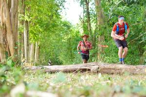 BIB: 
                            <button type="button" onclick="openModal(21989670)" class="btn btn-primary btn-sm float-right btn-popup" data-toggle="modal" data-target=".modal-high-quality">
                        <i class="fas fa-shopping-cart"></i> Add to Cart
                    </button>
                                            <button type="button" onclick="isThisMe(21989670, true)" class="btn btn-success btn-sm float-right btn-popup btn-isme hidden" data-toggle="tooltip" data-placement="bottom" title="นี่คือรูปของคุณใช่ไหม คลิกที่นี่เพื่อเอาเข้าอัลบั้ม">
                        <i class="fas fa-plus"></i> Add to album
                    </button>
                    <button type="button" onclick="isThisMe(21989670, false)" class="btn btn-warning btn-sm float-right btn-popup btn-isnotme hidden">
                        <i class="fas fa-ban"></i> Remove from album
                    </button>