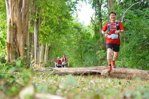 BIB: 
                            <button type="button" onclick="openModal(21989341)" class="btn btn-primary btn-sm float-right btn-popup" data-toggle="modal" data-target=".modal-high-quality">
                        <i class="fas fa-shopping-cart"></i> Add to Cart
                    </button>
                                            <button type="button" onclick="isThisMe(21989341, true)" class="btn btn-success btn-sm float-right btn-popup btn-isme hidden" data-toggle="tooltip" data-placement="bottom" title="นี่คือรูปของคุณใช่ไหม คลิกที่นี่เพื่อเอาเข้าอัลบั้ม">
                        <i class="fas fa-plus"></i> Add to album
                    </button>
                    <button type="button" onclick="isThisMe(21989341, false)" class="btn btn-warning btn-sm float-right btn-popup btn-isnotme hidden">
                        <i class="fas fa-ban"></i> Remove from album
                    </button>