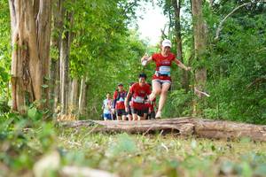 BIB: 
                            <button type="button" onclick="openModal(21989034)" class="btn btn-primary btn-sm float-right btn-popup" data-toggle="modal" data-target=".modal-high-quality">
                        <i class="fas fa-shopping-cart"></i> Add to Cart
                    </button>
                                            <button type="button" onclick="isThisMe(21989034, true)" class="btn btn-success btn-sm float-right btn-popup btn-isme hidden" data-toggle="tooltip" data-placement="bottom" title="นี่คือรูปของคุณใช่ไหม คลิกที่นี่เพื่อเอาเข้าอัลบั้ม">
                        <i class="fas fa-plus"></i> Add to album
                    </button>
                    <button type="button" onclick="isThisMe(21989034, false)" class="btn btn-warning btn-sm float-right btn-popup btn-isnotme hidden">
                        <i class="fas fa-ban"></i> Remove from album
                    </button>