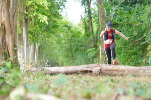 BIB: 
                            <button type="button" onclick="openModal(21984512)" class="btn btn-primary btn-sm float-right btn-popup" data-toggle="modal" data-target=".modal-high-quality">
                        <i class="fas fa-shopping-cart"></i> Add to Cart
                    </button>
                                            <button type="button" onclick="isThisMe(21984512, true)" class="btn btn-success btn-sm float-right btn-popup btn-isme hidden" data-toggle="tooltip" data-placement="bottom" title="นี่คือรูปของคุณใช่ไหม คลิกที่นี่เพื่อเอาเข้าอัลบั้ม">
                        <i class="fas fa-plus"></i> Add to album
                    </button>
                    <button type="button" onclick="isThisMe(21984512, false)" class="btn btn-warning btn-sm float-right btn-popup btn-isnotme hidden">
                        <i class="fas fa-ban"></i> Remove from album
                    </button>