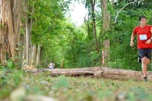 BIB: 
                            <button type="button" onclick="openModal(21988398)" class="btn btn-primary btn-sm float-right btn-popup" data-toggle="modal" data-target=".modal-high-quality">
                        <i class="fas fa-shopping-cart"></i> Add to Cart
                    </button>
                                            <button type="button" onclick="isThisMe(21988398, true)" class="btn btn-success btn-sm float-right btn-popup btn-isme hidden" data-toggle="tooltip" data-placement="bottom" title="นี่คือรูปของคุณใช่ไหม คลิกที่นี่เพื่อเอาเข้าอัลบั้ม">
                        <i class="fas fa-plus"></i> Add to album
                    </button>
                    <button type="button" onclick="isThisMe(21988398, false)" class="btn btn-warning btn-sm float-right btn-popup btn-isnotme hidden">
                        <i class="fas fa-ban"></i> Remove from album
                    </button>