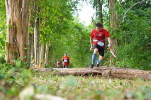 BIB: 
                            <button type="button" onclick="openModal(21984418)" class="btn btn-primary btn-sm float-right btn-popup" data-toggle="modal" data-target=".modal-high-quality">
                        <i class="fas fa-shopping-cart"></i> Add to Cart
                    </button>
                                            <button type="button" onclick="isThisMe(21984418, true)" class="btn btn-success btn-sm float-right btn-popup btn-isme hidden" data-toggle="tooltip" data-placement="bottom" title="นี่คือรูปของคุณใช่ไหม คลิกที่นี่เพื่อเอาเข้าอัลบั้ม">
                        <i class="fas fa-plus"></i> Add to album
                    </button>
                    <button type="button" onclick="isThisMe(21984418, false)" class="btn btn-warning btn-sm float-right btn-popup btn-isnotme hidden">
                        <i class="fas fa-ban"></i> Remove from album
                    </button>