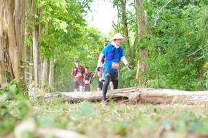 BIB: 
                            <button type="button" onclick="openModal(21984541)" class="btn btn-primary btn-sm float-right btn-popup" data-toggle="modal" data-target=".modal-high-quality">
                        <i class="fas fa-shopping-cart"></i> Add to Cart
                    </button>
                                            <button type="button" onclick="isThisMe(21984541, true)" class="btn btn-success btn-sm float-right btn-popup btn-isme hidden" data-toggle="tooltip" data-placement="bottom" title="นี่คือรูปของคุณใช่ไหม คลิกที่นี่เพื่อเอาเข้าอัลบั้ม">
                        <i class="fas fa-plus"></i> Add to album
                    </button>
                    <button type="button" onclick="isThisMe(21984541, false)" class="btn btn-warning btn-sm float-right btn-popup btn-isnotme hidden">
                        <i class="fas fa-ban"></i> Remove from album
                    </button>