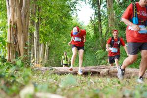 BIB: 
                            <button type="button" onclick="openModal(21989560)" class="btn btn-primary btn-sm float-right btn-popup" data-toggle="modal" data-target=".modal-high-quality">
                        <i class="fas fa-shopping-cart"></i> Add to Cart
                    </button>
                                            <button type="button" onclick="isThisMe(21989560, true)" class="btn btn-success btn-sm float-right btn-popup btn-isme hidden" data-toggle="tooltip" data-placement="bottom" title="นี่คือรูปของคุณใช่ไหม คลิกที่นี่เพื่อเอาเข้าอัลบั้ม">
                        <i class="fas fa-plus"></i> Add to album
                    </button>
                    <button type="button" onclick="isThisMe(21989560, false)" class="btn btn-warning btn-sm float-right btn-popup btn-isnotme hidden">
                        <i class="fas fa-ban"></i> Remove from album
                    </button>