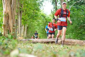 BIB: 
                            <button type="button" onclick="openModal(21984249)" class="btn btn-primary btn-sm float-right btn-popup" data-toggle="modal" data-target=".modal-high-quality">
                        <i class="fas fa-shopping-cart"></i> Add to Cart
                    </button>
                                            <button type="button" onclick="isThisMe(21984249, true)" class="btn btn-success btn-sm float-right btn-popup btn-isme hidden" data-toggle="tooltip" data-placement="bottom" title="นี่คือรูปของคุณใช่ไหม คลิกที่นี่เพื่อเอาเข้าอัลบั้ม">
                        <i class="fas fa-plus"></i> Add to album
                    </button>
                    <button type="button" onclick="isThisMe(21984249, false)" class="btn btn-warning btn-sm float-right btn-popup btn-isnotme hidden">
                        <i class="fas fa-ban"></i> Remove from album
                    </button>