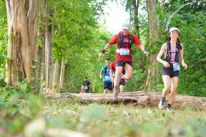 BIB: 
                            <button type="button" onclick="openModal(21984246)" class="btn btn-primary btn-sm float-right btn-popup" data-toggle="modal" data-target=".modal-high-quality">
                        <i class="fas fa-shopping-cart"></i> Add to Cart
                    </button>
                                            <button type="button" onclick="isThisMe(21984246, true)" class="btn btn-success btn-sm float-right btn-popup btn-isme hidden" data-toggle="tooltip" data-placement="bottom" title="นี่คือรูปของคุณใช่ไหม คลิกที่นี่เพื่อเอาเข้าอัลบั้ม">
                        <i class="fas fa-plus"></i> Add to album
                    </button>
                    <button type="button" onclick="isThisMe(21984246, false)" class="btn btn-warning btn-sm float-right btn-popup btn-isnotme hidden">
                        <i class="fas fa-ban"></i> Remove from album
                    </button>