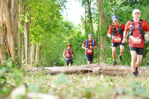 BIB: 
                            <button type="button" onclick="openModal(21989668)" class="btn btn-primary btn-sm float-right btn-popup" data-toggle="modal" data-target=".modal-high-quality">
                        <i class="fas fa-shopping-cart"></i> Add to Cart
                    </button>
                                            <button type="button" onclick="isThisMe(21989668, true)" class="btn btn-success btn-sm float-right btn-popup btn-isme hidden" data-toggle="tooltip" data-placement="bottom" title="นี่คือรูปของคุณใช่ไหม คลิกที่นี่เพื่อเอาเข้าอัลบั้ม">
                        <i class="fas fa-plus"></i> Add to album
                    </button>
                    <button type="button" onclick="isThisMe(21989668, false)" class="btn btn-warning btn-sm float-right btn-popup btn-isnotme hidden">
                        <i class="fas fa-ban"></i> Remove from album
                    </button>