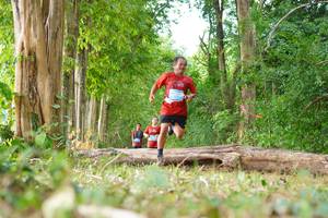 BIB: 
                            <button type="button" onclick="openModal(21989177)" class="btn btn-primary btn-sm float-right btn-popup" data-toggle="modal" data-target=".modal-high-quality">
                        <i class="fas fa-shopping-cart"></i> Add to Cart
                    </button>
                                            <button type="button" onclick="isThisMe(21989177, true)" class="btn btn-success btn-sm float-right btn-popup btn-isme hidden" data-toggle="tooltip" data-placement="bottom" title="นี่คือรูปของคุณใช่ไหม คลิกที่นี่เพื่อเอาเข้าอัลบั้ม">
                        <i class="fas fa-plus"></i> Add to album
                    </button>
                    <button type="button" onclick="isThisMe(21989177, false)" class="btn btn-warning btn-sm float-right btn-popup btn-isnotme hidden">
                        <i class="fas fa-ban"></i> Remove from album
                    </button>