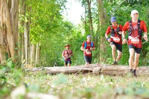 BIB: 
                            <button type="button" onclick="openModal(21989667)" class="btn btn-primary btn-sm float-right btn-popup" data-toggle="modal" data-target=".modal-high-quality">
                        <i class="fas fa-shopping-cart"></i> Add to Cart
                    </button>
                                            <button type="button" onclick="isThisMe(21989667, true)" class="btn btn-success btn-sm float-right btn-popup btn-isme hidden" data-toggle="tooltip" data-placement="bottom" title="นี่คือรูปของคุณใช่ไหม คลิกที่นี่เพื่อเอาเข้าอัลบั้ม">
                        <i class="fas fa-plus"></i> Add to album
                    </button>
                    <button type="button" onclick="isThisMe(21989667, false)" class="btn btn-warning btn-sm float-right btn-popup btn-isnotme hidden">
                        <i class="fas fa-ban"></i> Remove from album
                    </button>