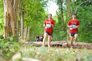 BIB: 
                            <button type="button" onclick="openModal(21989407)" class="btn btn-primary btn-sm float-right btn-popup" data-toggle="modal" data-target=".modal-high-quality">
                        <i class="fas fa-shopping-cart"></i> Add to Cart
                    </button>
                                            <button type="button" onclick="isThisMe(21989407, true)" class="btn btn-success btn-sm float-right btn-popup btn-isme hidden" data-toggle="tooltip" data-placement="bottom" title="นี่คือรูปของคุณใช่ไหม คลิกที่นี่เพื่อเอาเข้าอัลบั้ม">
                        <i class="fas fa-plus"></i> Add to album
                    </button>
                    <button type="button" onclick="isThisMe(21989407, false)" class="btn btn-warning btn-sm float-right btn-popup btn-isnotme hidden">
                        <i class="fas fa-ban"></i> Remove from album
                    </button>