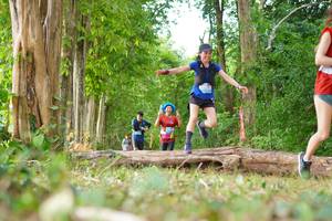 BIB: 
                            <button type="button" onclick="openModal(21984336)" class="btn btn-primary btn-sm float-right btn-popup" data-toggle="modal" data-target=".modal-high-quality">
                        <i class="fas fa-shopping-cart"></i> Add to Cart
                    </button>
                                            <button type="button" onclick="isThisMe(21984336, true)" class="btn btn-success btn-sm float-right btn-popup btn-isme hidden" data-toggle="tooltip" data-placement="bottom" title="นี่คือรูปของคุณใช่ไหม คลิกที่นี่เพื่อเอาเข้าอัลบั้ม">
                        <i class="fas fa-plus"></i> Add to album
                    </button>
                    <button type="button" onclick="isThisMe(21984336, false)" class="btn btn-warning btn-sm float-right btn-popup btn-isnotme hidden">
                        <i class="fas fa-ban"></i> Remove from album
                    </button>