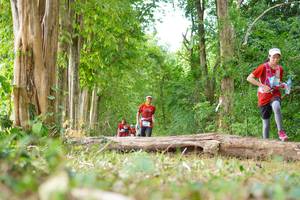 BIB: 
                            <button type="button" onclick="openModal(21989386)" class="btn btn-primary btn-sm float-right btn-popup" data-toggle="modal" data-target=".modal-high-quality">
                        <i class="fas fa-shopping-cart"></i> Add to Cart
                    </button>
                                            <button type="button" onclick="isThisMe(21989386, true)" class="btn btn-success btn-sm float-right btn-popup btn-isme hidden" data-toggle="tooltip" data-placement="bottom" title="นี่คือรูปของคุณใช่ไหม คลิกที่นี่เพื่อเอาเข้าอัลบั้ม">
                        <i class="fas fa-plus"></i> Add to album
                    </button>
                    <button type="button" onclick="isThisMe(21989386, false)" class="btn btn-warning btn-sm float-right btn-popup btn-isnotme hidden">
                        <i class="fas fa-ban"></i> Remove from album
                    </button>