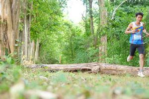 BIB: 
                            <button type="button" onclick="openModal(21988082)" class="btn btn-primary btn-sm float-right btn-popup" data-toggle="modal" data-target=".modal-high-quality">
                        <i class="fas fa-shopping-cart"></i> Add to Cart
                    </button>
                                            <button type="button" onclick="isThisMe(21988082, true)" class="btn btn-success btn-sm float-right btn-popup btn-isme hidden" data-toggle="tooltip" data-placement="bottom" title="นี่คือรูปของคุณใช่ไหม คลิกที่นี่เพื่อเอาเข้าอัลบั้ม">
                        <i class="fas fa-plus"></i> Add to album
                    </button>
                    <button type="button" onclick="isThisMe(21988082, false)" class="btn btn-warning btn-sm float-right btn-popup btn-isnotme hidden">
                        <i class="fas fa-ban"></i> Remove from album
                    </button>