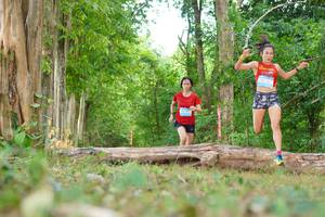 BIB: 
                            <button type="button" onclick="openModal(21984055)" class="btn btn-primary btn-sm float-right btn-popup" data-toggle="modal" data-target=".modal-high-quality">
                        <i class="fas fa-shopping-cart"></i> Add to Cart
                    </button>
                                            <button type="button" onclick="isThisMe(21984055, true)" class="btn btn-success btn-sm float-right btn-popup btn-isme hidden" data-toggle="tooltip" data-placement="bottom" title="นี่คือรูปของคุณใช่ไหม คลิกที่นี่เพื่อเอาเข้าอัลบั้ม">
                        <i class="fas fa-plus"></i> Add to album
                    </button>
                    <button type="button" onclick="isThisMe(21984055, false)" class="btn btn-warning btn-sm float-right btn-popup btn-isnotme hidden">
                        <i class="fas fa-ban"></i> Remove from album
                    </button>