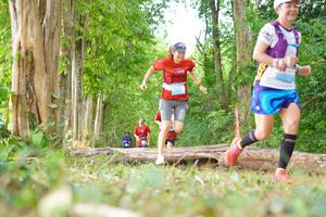 BIB: 
                            <button type="button" onclick="openModal(21988853)" class="btn btn-primary btn-sm float-right btn-popup" data-toggle="modal" data-target=".modal-high-quality">
                        <i class="fas fa-shopping-cart"></i> Add to Cart
                    </button>
                                            <button type="button" onclick="isThisMe(21988853, true)" class="btn btn-success btn-sm float-right btn-popup btn-isme hidden" data-toggle="tooltip" data-placement="bottom" title="นี่คือรูปของคุณใช่ไหม คลิกที่นี่เพื่อเอาเข้าอัลบั้ม">
                        <i class="fas fa-plus"></i> Add to album
                    </button>
                    <button type="button" onclick="isThisMe(21988853, false)" class="btn btn-warning btn-sm float-right btn-popup btn-isnotme hidden">
                        <i class="fas fa-ban"></i> Remove from album
                    </button>