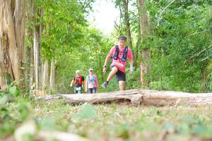 BIB: 
                            <button type="button" onclick="openModal(21984549)" class="btn btn-primary btn-sm float-right btn-popup" data-toggle="modal" data-target=".modal-high-quality">
                        <i class="fas fa-shopping-cart"></i> Add to Cart
                    </button>
                                            <button type="button" onclick="isThisMe(21984549, true)" class="btn btn-success btn-sm float-right btn-popup btn-isme hidden" data-toggle="tooltip" data-placement="bottom" title="นี่คือรูปของคุณใช่ไหม คลิกที่นี่เพื่อเอาเข้าอัลบั้ม">
                        <i class="fas fa-plus"></i> Add to album
                    </button>
                    <button type="button" onclick="isThisMe(21984549, false)" class="btn btn-warning btn-sm float-right btn-popup btn-isnotme hidden">
                        <i class="fas fa-ban"></i> Remove from album
                    </button>