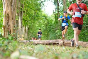 BIB: 142, 1774
                            <button type="button" onclick="openModal(21988766)" class="btn btn-primary btn-sm float-right btn-popup" data-toggle="modal" data-target=".modal-high-quality">
                        <i class="fas fa-shopping-cart"></i> Add to Cart
                    </button>
                                            <button type="button" onclick="isThisMe(21988766, true)" class="btn btn-success btn-sm float-right btn-popup btn-isme hidden" data-toggle="tooltip" data-placement="bottom" title="นี่คือรูปของคุณใช่ไหม คลิกที่นี่เพื่อเอาเข้าอัลบั้ม">
                        <i class="fas fa-plus"></i> Add to album
                    </button>
                    <button type="button" onclick="isThisMe(21988766, false)" class="btn btn-warning btn-sm float-right btn-popup btn-isnotme hidden">
                        <i class="fas fa-ban"></i> Remove from album
                    </button>