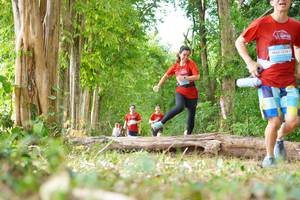 BIB: 
                            <button type="button" onclick="openModal(21989434)" class="btn btn-primary btn-sm float-right btn-popup" data-toggle="modal" data-target=".modal-high-quality">
                        <i class="fas fa-shopping-cart"></i> Add to Cart
                    </button>
                                            <button type="button" onclick="isThisMe(21989434, true)" class="btn btn-success btn-sm float-right btn-popup btn-isme hidden" data-toggle="tooltip" data-placement="bottom" title="นี่คือรูปของคุณใช่ไหม คลิกที่นี่เพื่อเอาเข้าอัลบั้ม">
                        <i class="fas fa-plus"></i> Add to album
                    </button>
                    <button type="button" onclick="isThisMe(21989434, false)" class="btn btn-warning btn-sm float-right btn-popup btn-isnotme hidden">
                        <i class="fas fa-ban"></i> Remove from album
                    </button>