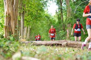 BIB: 
                            <button type="button" onclick="openModal(21989465)" class="btn btn-primary btn-sm float-right btn-popup" data-toggle="modal" data-target=".modal-high-quality">
                        <i class="fas fa-shopping-cart"></i> Add to Cart
                    </button>
                                            <button type="button" onclick="isThisMe(21989465, true)" class="btn btn-success btn-sm float-right btn-popup btn-isme hidden" data-toggle="tooltip" data-placement="bottom" title="นี่คือรูปของคุณใช่ไหม คลิกที่นี่เพื่อเอาเข้าอัลบั้ม">
                        <i class="fas fa-plus"></i> Add to album
                    </button>
                    <button type="button" onclick="isThisMe(21989465, false)" class="btn btn-warning btn-sm float-right btn-popup btn-isnotme hidden">
                        <i class="fas fa-ban"></i> Remove from album
                    </button>