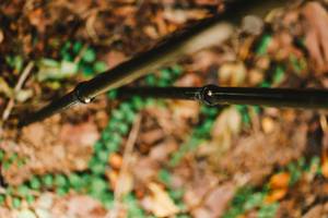 BIB: 
                            <button type="button" onclick="openModal(22028989)" class="btn btn-primary btn-sm float-right btn-popup" data-toggle="modal" data-target=".modal-high-quality">
                        <i class="fas fa-shopping-cart"></i> Add to Cart
                    </button>
                                            <button type="button" onclick="isThisMe(22028989, true)" class="btn btn-success btn-sm float-right btn-popup btn-isme hidden" data-toggle="tooltip" data-placement="bottom" title="นี่คือรูปของคุณใช่ไหม คลิกที่นี่เพื่อเอาเข้าอัลบั้ม">
                        <i class="fas fa-plus"></i> Add to album
                    </button>
                    <button type="button" onclick="isThisMe(22028989, false)" class="btn btn-warning btn-sm float-right btn-popup btn-isnotme hidden">
                        <i class="fas fa-ban"></i> Remove from album
                    </button>