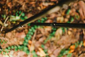 BIB: 
                            <button type="button" onclick="openModal(22028988)" class="btn btn-primary btn-sm float-right btn-popup" data-toggle="modal" data-target=".modal-high-quality">
                        <i class="fas fa-shopping-cart"></i> Add to Cart
                    </button>
                                            <button type="button" onclick="isThisMe(22028988, true)" class="btn btn-success btn-sm float-right btn-popup btn-isme hidden" data-toggle="tooltip" data-placement="bottom" title="นี่คือรูปของคุณใช่ไหม คลิกที่นี่เพื่อเอาเข้าอัลบั้ม">
                        <i class="fas fa-plus"></i> Add to album
                    </button>
                    <button type="button" onclick="isThisMe(22028988, false)" class="btn btn-warning btn-sm float-right btn-popup btn-isnotme hidden">
                        <i class="fas fa-ban"></i> Remove from album
                    </button>