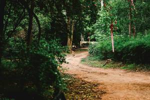 BIB: 
                            <button type="button" onclick="openModal(22027937)" class="btn btn-primary btn-sm float-right btn-popup" data-toggle="modal" data-target=".modal-high-quality">
                        <i class="fas fa-shopping-cart"></i> Add to Cart
                    </button>
                                            <button type="button" onclick="isThisMe(22027937, true)" class="btn btn-success btn-sm float-right btn-popup btn-isme hidden" data-toggle="tooltip" data-placement="bottom" title="นี่คือรูปของคุณใช่ไหม คลิกที่นี่เพื่อเอาเข้าอัลบั้ม">
                        <i class="fas fa-plus"></i> Add to album
                    </button>
                    <button type="button" onclick="isThisMe(22027937, false)" class="btn btn-warning btn-sm float-right btn-popup btn-isnotme hidden">
                        <i class="fas fa-ban"></i> Remove from album
                    </button>