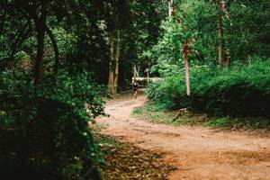 BIB: 
                            <button type="button" onclick="openModal(22027943)" class="btn btn-primary btn-sm float-right btn-popup" data-toggle="modal" data-target=".modal-high-quality">
                        <i class="fas fa-shopping-cart"></i> Add to Cart
                    </button>
                                            <button type="button" onclick="isThisMe(22027943, true)" class="btn btn-success btn-sm float-right btn-popup btn-isme hidden" data-toggle="tooltip" data-placement="bottom" title="นี่คือรูปของคุณใช่ไหม คลิกที่นี่เพื่อเอาเข้าอัลบั้ม">
                        <i class="fas fa-plus"></i> Add to album
                    </button>
                    <button type="button" onclick="isThisMe(22027943, false)" class="btn btn-warning btn-sm float-right btn-popup btn-isnotme hidden">
                        <i class="fas fa-ban"></i> Remove from album
                    </button>