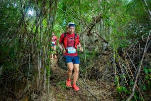 BIB: 301017
                            <button type="button" onclick="openModal(22058452)" class="btn btn-primary btn-sm float-right btn-popup" data-toggle="modal" data-target=".modal-high-quality">
                        <i class="fas fa-shopping-cart"></i> Add to Cart
                    </button>
                                            <button type="button" onclick="isThisMe(22058452, true)" class="btn btn-success btn-sm float-right btn-popup btn-isme hidden" data-toggle="tooltip" data-placement="bottom" title="นี่คือรูปของคุณใช่ไหม คลิกที่นี่เพื่อเอาเข้าอัลบั้ม">
                        <i class="fas fa-plus"></i> Add to album
                    </button>
                    <button type="button" onclick="isThisMe(22058452, false)" class="btn btn-warning btn-sm float-right btn-popup btn-isnotme hidden">
                        <i class="fas fa-ban"></i> Remove from album
                    </button>