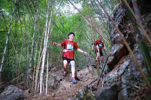 BIB: 
                            <button type="button" onclick="openModal(22086804)" class="btn btn-primary btn-sm float-right btn-popup" data-toggle="modal" data-target=".modal-high-quality">
                        <i class="fas fa-shopping-cart"></i> Add to Cart
                    </button>
                                            <button type="button" onclick="isThisMe(22086804, true)" class="btn btn-success btn-sm float-right btn-popup btn-isme hidden" data-toggle="tooltip" data-placement="bottom" title="นี่คือรูปของคุณใช่ไหม คลิกที่นี่เพื่อเอาเข้าอัลบั้ม">
                        <i class="fas fa-plus"></i> Add to album
                    </button>
                    <button type="button" onclick="isThisMe(22086804, false)" class="btn btn-warning btn-sm float-right btn-popup btn-isnotme hidden">
                        <i class="fas fa-ban"></i> Remove from album
                    </button>