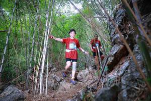 BIB: 
                            <button type="button" onclick="openModal(22086814)" class="btn btn-primary btn-sm float-right btn-popup" data-toggle="modal" data-target=".modal-high-quality">
                        <i class="fas fa-shopping-cart"></i> Add to Cart
                    </button>
                                            <button type="button" onclick="isThisMe(22086814, true)" class="btn btn-success btn-sm float-right btn-popup btn-isme hidden" data-toggle="tooltip" data-placement="bottom" title="นี่คือรูปของคุณใช่ไหม คลิกที่นี่เพื่อเอาเข้าอัลบั้ม">
                        <i class="fas fa-plus"></i> Add to album
                    </button>
                    <button type="button" onclick="isThisMe(22086814, false)" class="btn btn-warning btn-sm float-right btn-popup btn-isnotme hidden">
                        <i class="fas fa-ban"></i> Remove from album
                    </button>