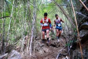 BIB: 
                            <button type="button" onclick="openModal(22088435)" class="btn btn-primary btn-sm float-right btn-popup" data-toggle="modal" data-target=".modal-high-quality">
                        <i class="fas fa-shopping-cart"></i> Add to Cart
                    </button>
                                            <button type="button" onclick="isThisMe(22088435, true)" class="btn btn-success btn-sm float-right btn-popup btn-isme hidden" data-toggle="tooltip" data-placement="bottom" title="นี่คือรูปของคุณใช่ไหม คลิกที่นี่เพื่อเอาเข้าอัลบั้ม">
                        <i class="fas fa-plus"></i> Add to album
                    </button>
                    <button type="button" onclick="isThisMe(22088435, false)" class="btn btn-warning btn-sm float-right btn-popup btn-isnotme hidden">
                        <i class="fas fa-ban"></i> Remove from album
                    </button>