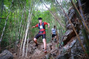 BIB: 
                            <button type="button" onclick="openModal(22086951)" class="btn btn-primary btn-sm float-right btn-popup" data-toggle="modal" data-target=".modal-high-quality">
                        <i class="fas fa-shopping-cart"></i> Add to Cart
                    </button>
                                            <button type="button" onclick="isThisMe(22086951, true)" class="btn btn-success btn-sm float-right btn-popup btn-isme hidden" data-toggle="tooltip" data-placement="bottom" title="นี่คือรูปของคุณใช่ไหม คลิกที่นี่เพื่อเอาเข้าอัลบั้ม">
                        <i class="fas fa-plus"></i> Add to album
                    </button>
                    <button type="button" onclick="isThisMe(22086951, false)" class="btn btn-warning btn-sm float-right btn-popup btn-isnotme hidden">
                        <i class="fas fa-ban"></i> Remove from album
                    </button>