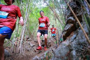 BIB: 1146
                            <button type="button" onclick="openModal(22088088)" class="btn btn-primary btn-sm float-right btn-popup" data-toggle="modal" data-target=".modal-high-quality">
                        <i class="fas fa-shopping-cart"></i> Add to Cart
                    </button>
                                            <button type="button" onclick="isThisMe(22088088, true)" class="btn btn-success btn-sm float-right btn-popup btn-isme hidden" data-toggle="tooltip" data-placement="bottom" title="นี่คือรูปของคุณใช่ไหม คลิกที่นี่เพื่อเอาเข้าอัลบั้ม">
                        <i class="fas fa-plus"></i> Add to album
                    </button>
                    <button type="button" onclick="isThisMe(22088088, false)" class="btn btn-warning btn-sm float-right btn-popup btn-isnotme hidden">
                        <i class="fas fa-ban"></i> Remove from album
                    </button>