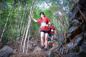 BIB: 1232
                            <button type="button" onclick="openModal(22087883)" class="btn btn-primary btn-sm float-right btn-popup" data-toggle="modal" data-target=".modal-high-quality">
                        <i class="fas fa-shopping-cart"></i> Add to Cart
                    </button>
                                            <button type="button" onclick="isThisMe(22087883, true)" class="btn btn-success btn-sm float-right btn-popup btn-isme hidden" data-toggle="tooltip" data-placement="bottom" title="นี่คือรูปของคุณใช่ไหม คลิกที่นี่เพื่อเอาเข้าอัลบั้ม">
                        <i class="fas fa-plus"></i> Add to album
                    </button>
                    <button type="button" onclick="isThisMe(22087883, false)" class="btn btn-warning btn-sm float-right btn-popup btn-isnotme hidden">
                        <i class="fas fa-ban"></i> Remove from album
                    </button>