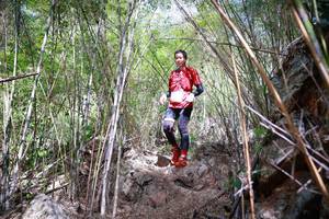 BIB: 
                            <button type="button" onclick="openModal(22088825)" class="btn btn-primary btn-sm float-right btn-popup" data-toggle="modal" data-target=".modal-high-quality">
                        <i class="fas fa-shopping-cart"></i> Add to Cart
                    </button>
                                            <button type="button" onclick="isThisMe(22088825, true)" class="btn btn-success btn-sm float-right btn-popup btn-isme hidden" data-toggle="tooltip" data-placement="bottom" title="นี่คือรูปของคุณใช่ไหม คลิกที่นี่เพื่อเอาเข้าอัลบั้ม">
                        <i class="fas fa-plus"></i> Add to album
                    </button>
                    <button type="button" onclick="isThisMe(22088825, false)" class="btn btn-warning btn-sm float-right btn-popup btn-isnotme hidden">
                        <i class="fas fa-ban"></i> Remove from album
                    </button>