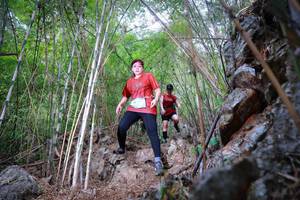 BIB: 
                            <button type="button" onclick="openModal(22087616)" class="btn btn-primary btn-sm float-right btn-popup" data-toggle="modal" data-target=".modal-high-quality">
                        <i class="fas fa-shopping-cart"></i> Add to Cart
                    </button>
                                            <button type="button" onclick="isThisMe(22087616, true)" class="btn btn-success btn-sm float-right btn-popup btn-isme hidden" data-toggle="tooltip" data-placement="bottom" title="นี่คือรูปของคุณใช่ไหม คลิกที่นี่เพื่อเอาเข้าอัลบั้ม">
                        <i class="fas fa-plus"></i> Add to album
                    </button>
                    <button type="button" onclick="isThisMe(22087616, false)" class="btn btn-warning btn-sm float-right btn-popup btn-isnotme hidden">
                        <i class="fas fa-ban"></i> Remove from album
                    </button>