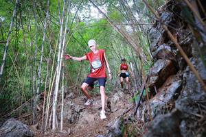 BIB: 123
                            <button type="button" onclick="openModal(22087336)" class="btn btn-primary btn-sm float-right btn-popup" data-toggle="modal" data-target=".modal-high-quality">
                        <i class="fas fa-shopping-cart"></i> Add to Cart
                    </button>
                                            <button type="button" onclick="isThisMe(22087336, true)" class="btn btn-success btn-sm float-right btn-popup btn-isme hidden" data-toggle="tooltip" data-placement="bottom" title="นี่คือรูปของคุณใช่ไหม คลิกที่นี่เพื่อเอาเข้าอัลบั้ม">
                        <i class="fas fa-plus"></i> Add to album
                    </button>
                    <button type="button" onclick="isThisMe(22087336, false)" class="btn btn-warning btn-sm float-right btn-popup btn-isnotme hidden">
                        <i class="fas fa-ban"></i> Remove from album
                    </button>