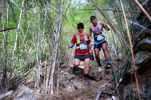 BIB: 
                            <button type="button" onclick="openModal(22088439)" class="btn btn-primary btn-sm float-right btn-popup" data-toggle="modal" data-target=".modal-high-quality">
                        <i class="fas fa-shopping-cart"></i> Add to Cart
                    </button>
                                            <button type="button" onclick="isThisMe(22088439, true)" class="btn btn-success btn-sm float-right btn-popup btn-isme hidden" data-toggle="tooltip" data-placement="bottom" title="นี่คือรูปของคุณใช่ไหม คลิกที่นี่เพื่อเอาเข้าอัลบั้ม">
                        <i class="fas fa-plus"></i> Add to album
                    </button>
                    <button type="button" onclick="isThisMe(22088439, false)" class="btn btn-warning btn-sm float-right btn-popup btn-isnotme hidden">
                        <i class="fas fa-ban"></i> Remove from album
                    </button>