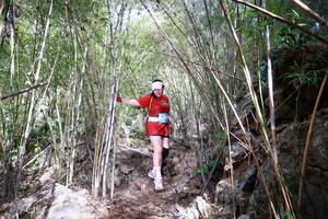 BIB: 
                            <button type="button" onclick="openModal(22088625)" class="btn btn-primary btn-sm float-right btn-popup" data-toggle="modal" data-target=".modal-high-quality">
                        <i class="fas fa-shopping-cart"></i> Add to Cart
                    </button>
                                            <button type="button" onclick="isThisMe(22088625, true)" class="btn btn-success btn-sm float-right btn-popup btn-isme hidden" data-toggle="tooltip" data-placement="bottom" title="นี่คือรูปของคุณใช่ไหม คลิกที่นี่เพื่อเอาเข้าอัลบั้ม">
                        <i class="fas fa-plus"></i> Add to album
                    </button>
                    <button type="button" onclick="isThisMe(22088625, false)" class="btn btn-warning btn-sm float-right btn-popup btn-isnotme hidden">
                        <i class="fas fa-ban"></i> Remove from album
                    </button>